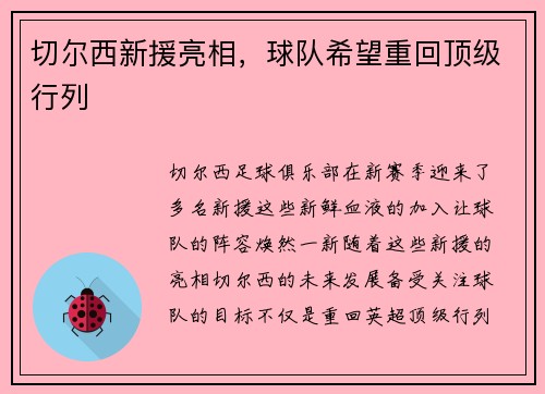切尔西新援亮相，球队希望重回顶级行列